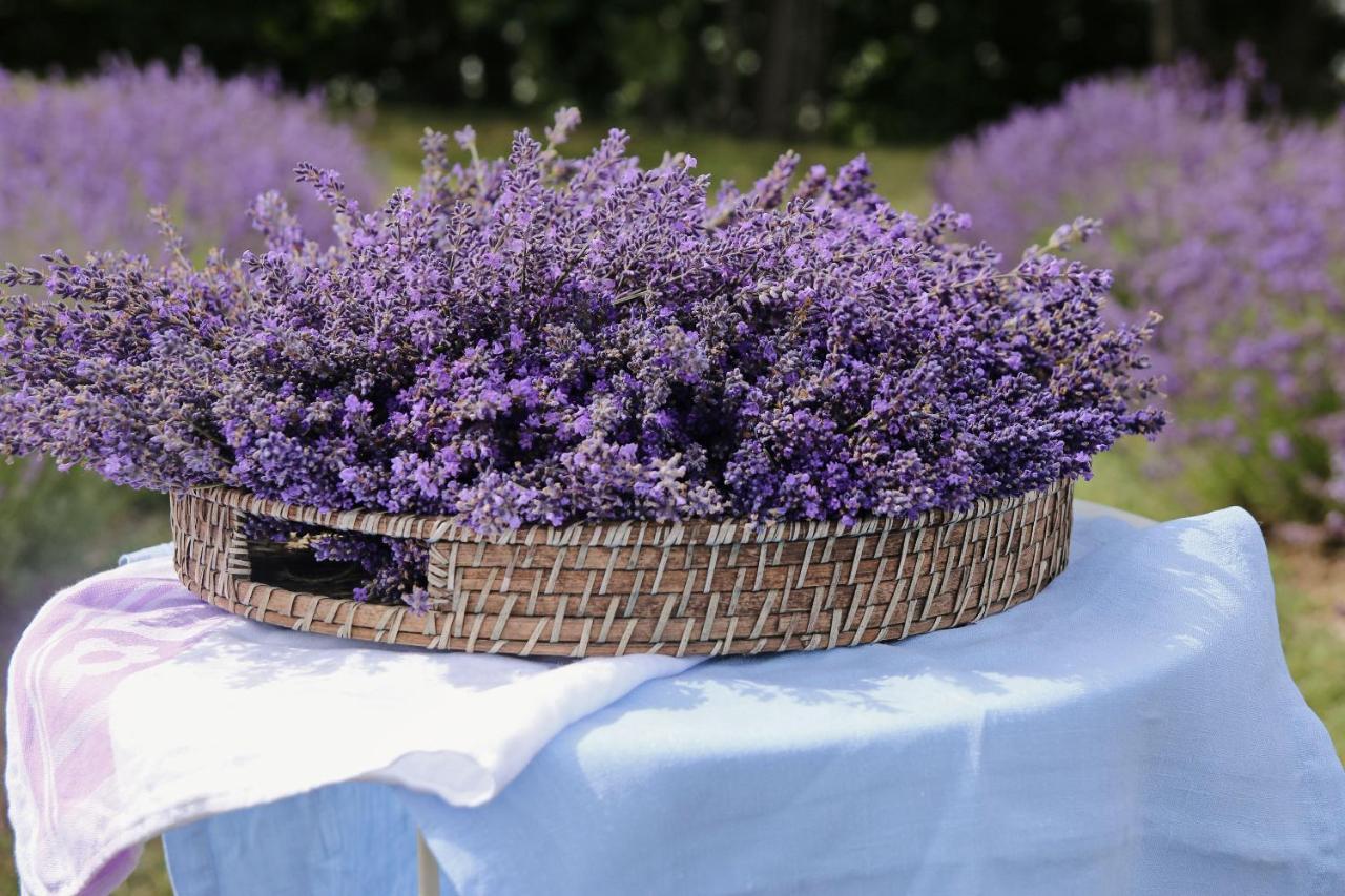 Lavender Village Kiemeliai 외부 사진