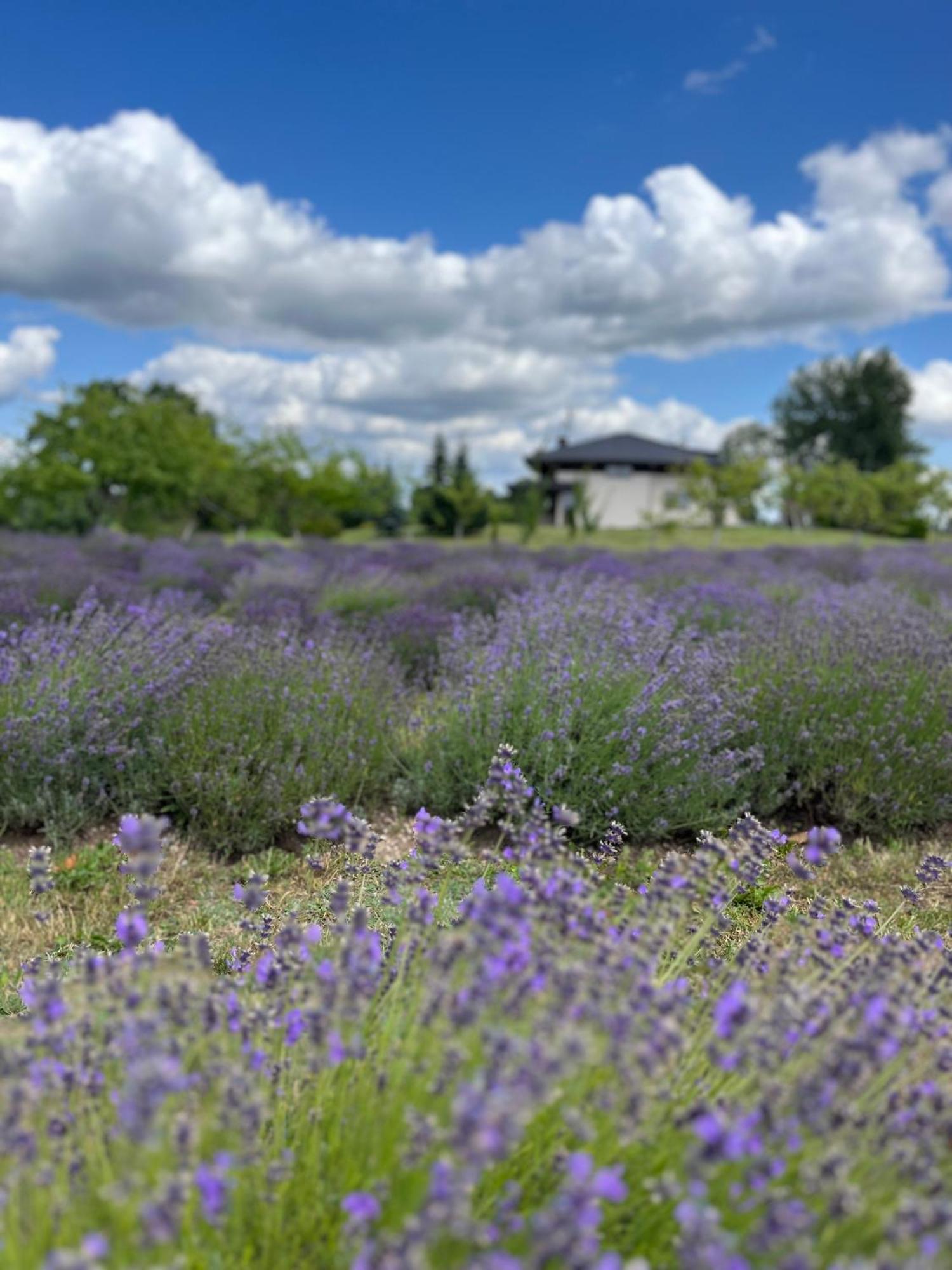 Lavender Village Kiemeliai 외부 사진