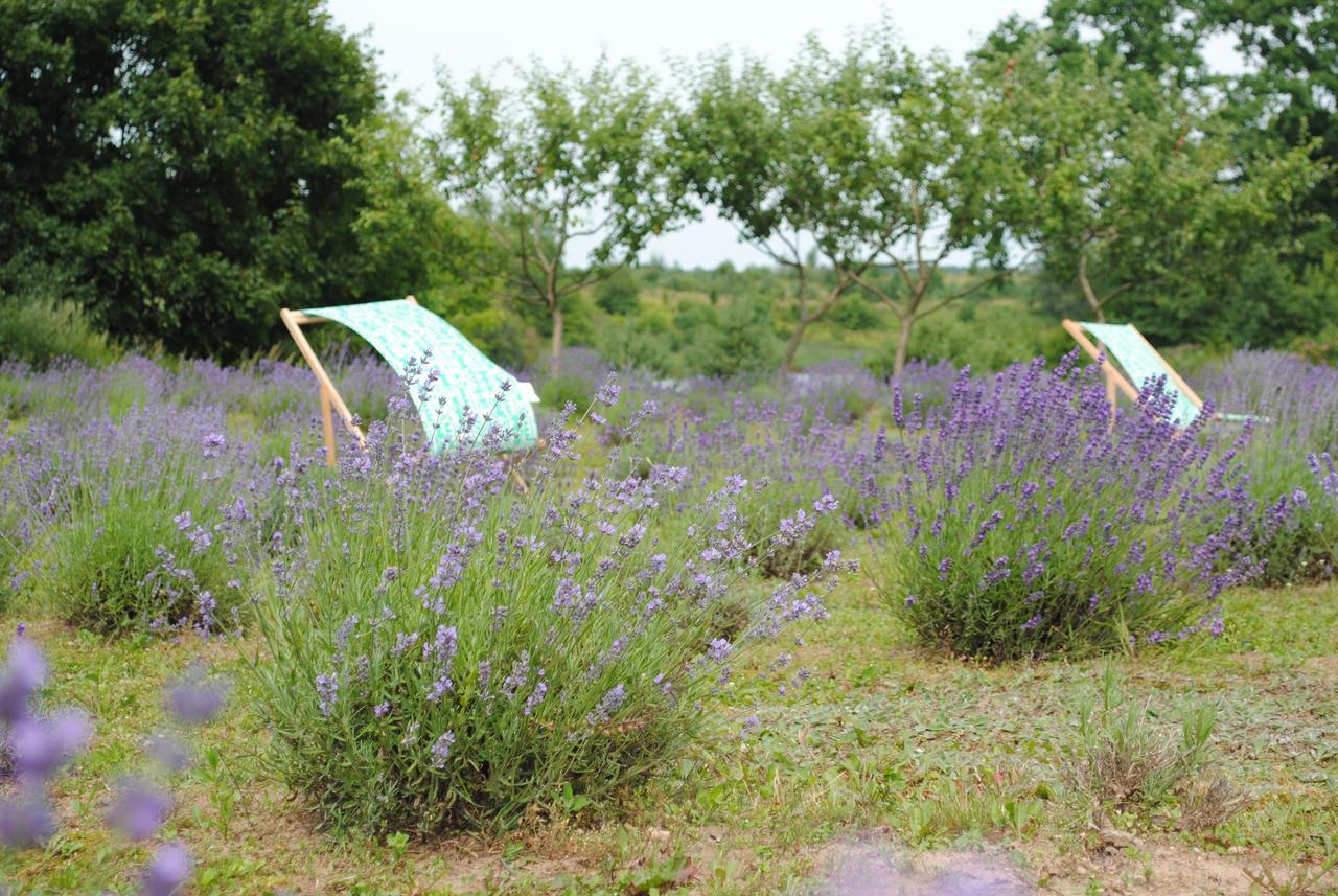 Lavender Village Kiemeliai 외부 사진