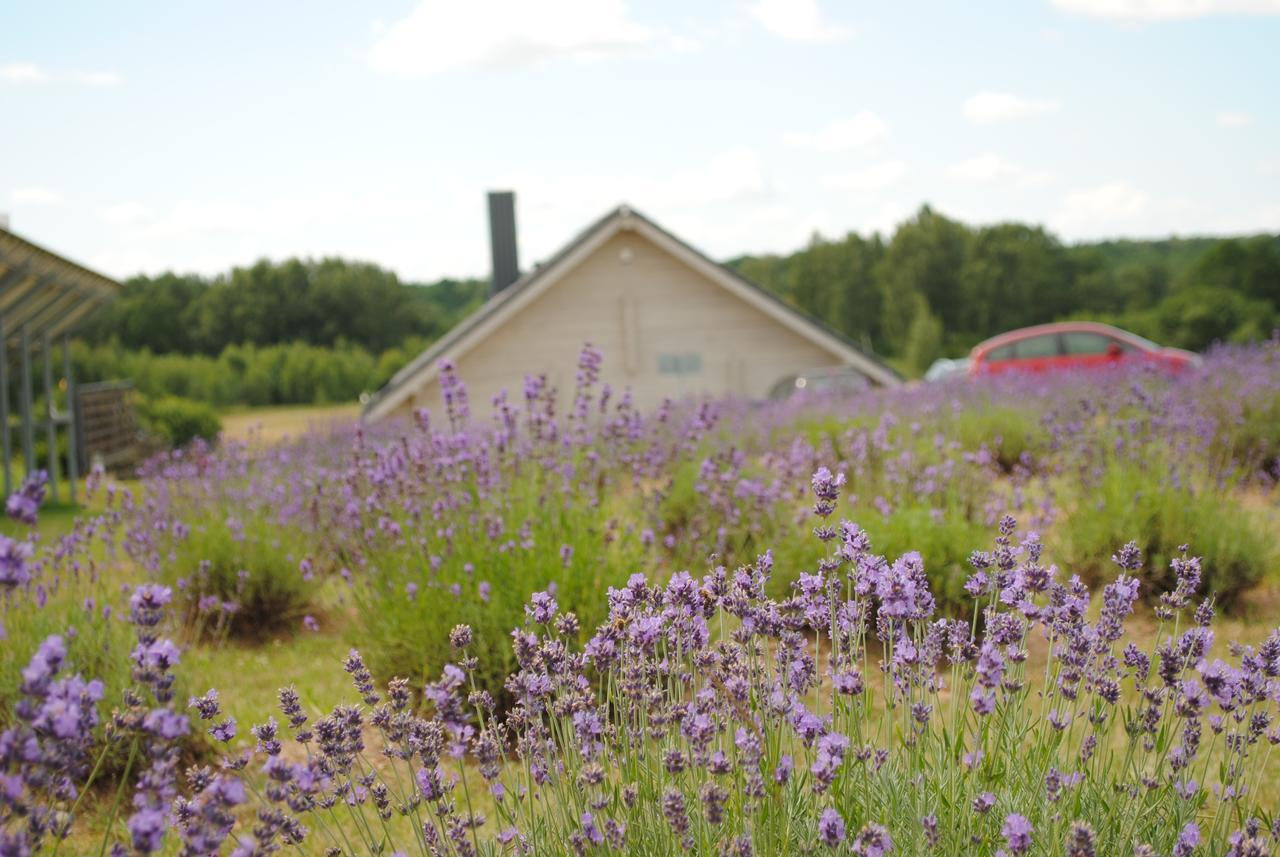 Lavender Village Kiemeliai 외부 사진