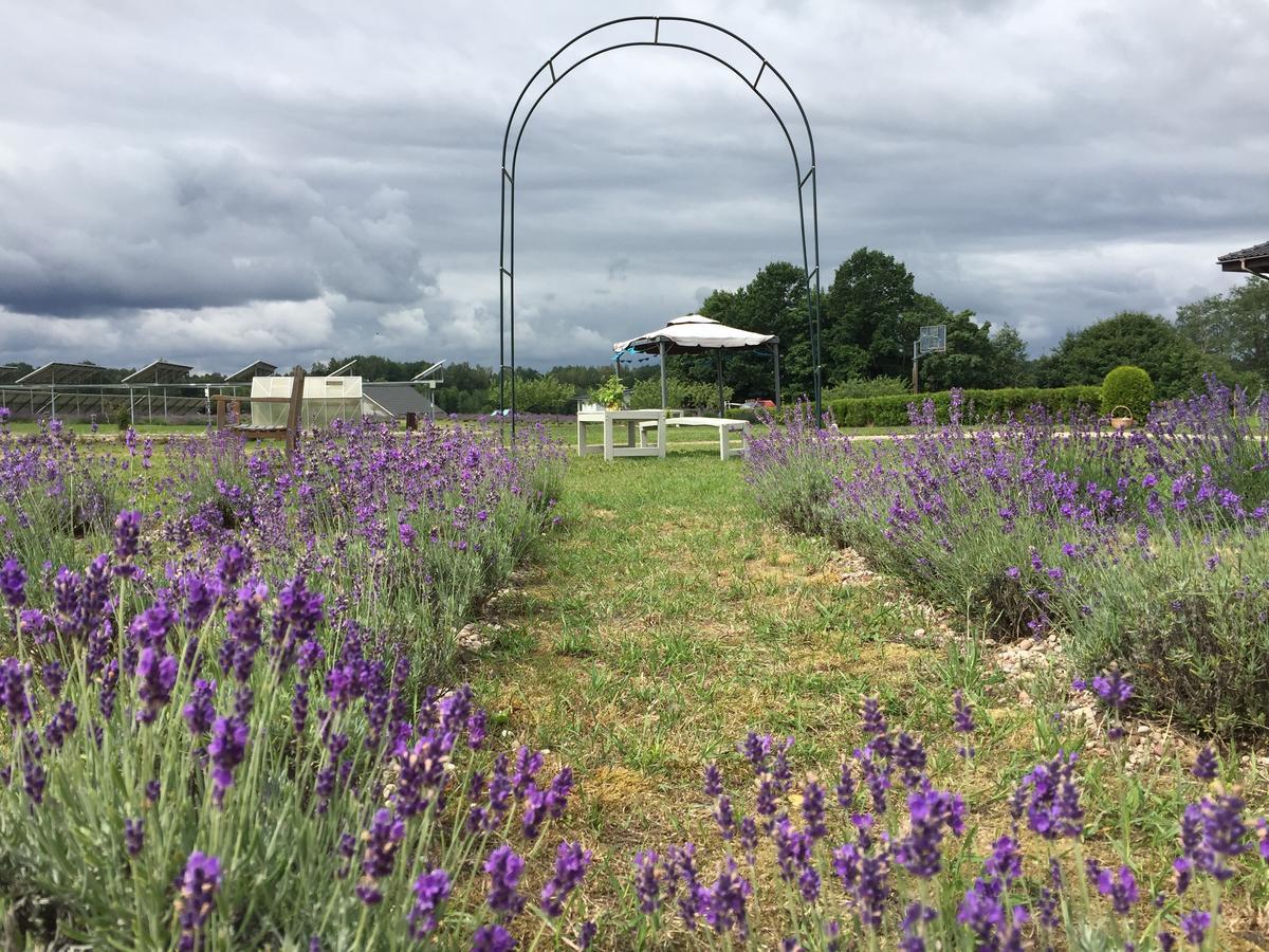 Lavender Village Kiemeliai 외부 사진